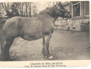 charlotte de silly 24 2025