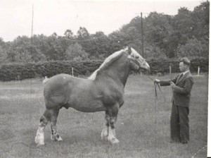 olympien de la maladree 5262