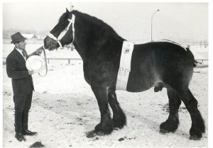 ulm 10242