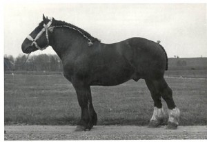 unit 10320